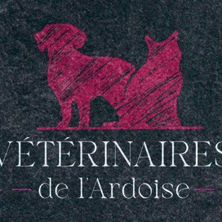 Vétérinaires de l'Ardoise, Établissement vétérinaire à Richmond