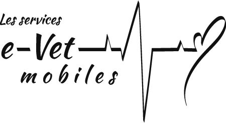 Dr E-vetmobile DENTISTERIE